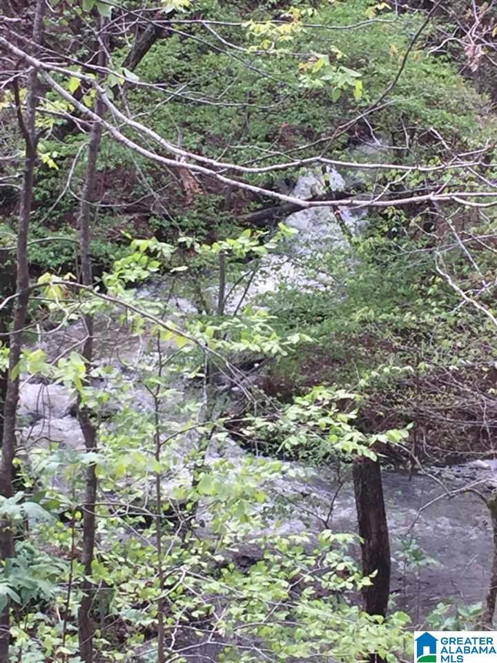 Water Tank Hill 20 Ac Pell City 35128 Arc Realty - 0 cook springs rd 0 pell city al 35125